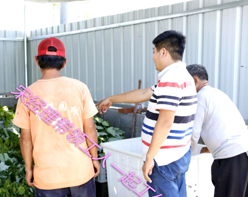 夏日來臨，當你吹空調(diào)喊熱的時候，讓我?guī)阋黄鹱哌M東楓園林體驗一下東楓人高溫下工作不一樣的夏日風采