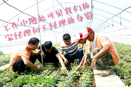 夏日來臨，當你吹空調(diào)喊熱的時候，讓我?guī)阋黄鹱哌M東楓園林體驗一下東楓人高溫下工作不一樣的夏日風采